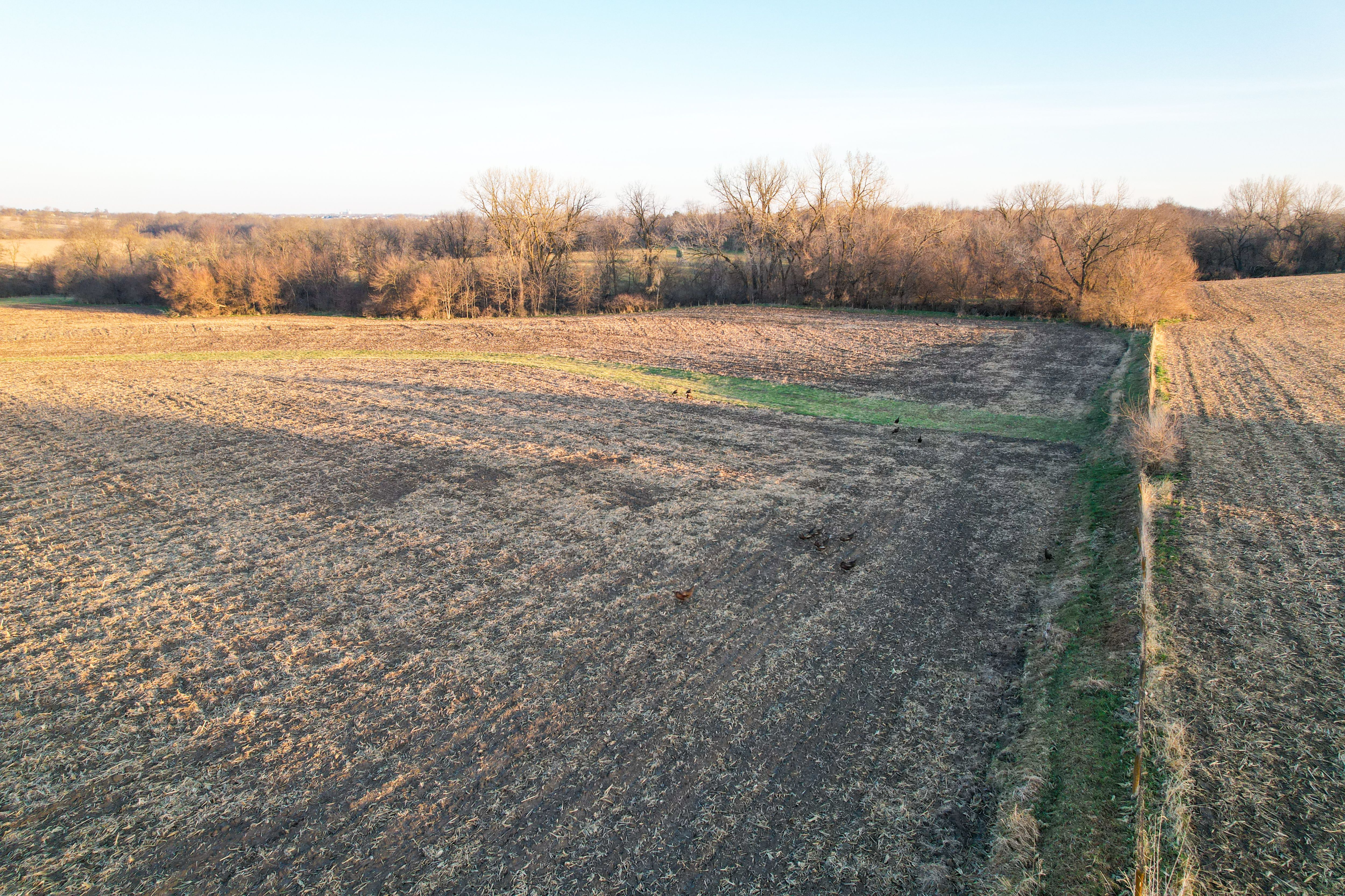 Listing Photo: Photo Mar 30 2026, 7 35 34 AM